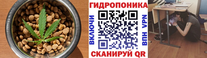 наркота  Солнечногорск  Cannafood марихуана 