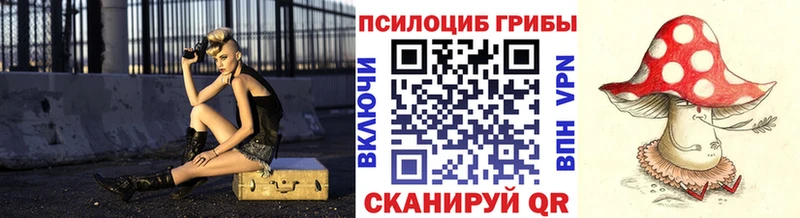 kraken   Солнечногорск  Галлюциногенные грибы мицелий  где купить наркоту 